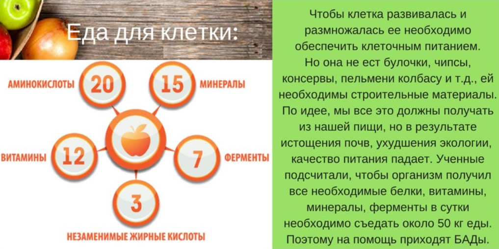 Концепция здоровья